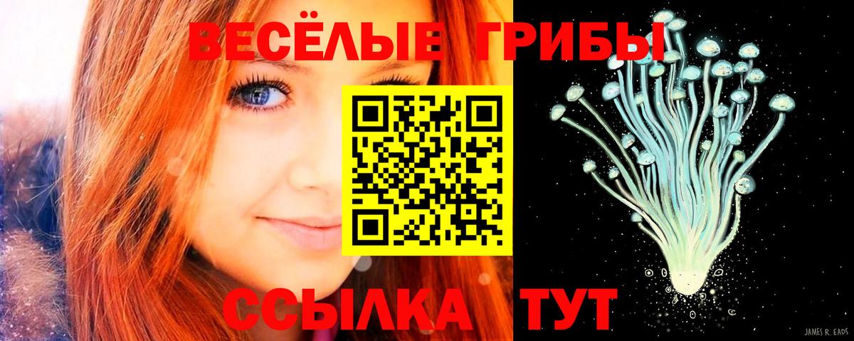 Знаменск  цена наркотик  Вход с VPN  Галлюциногенные грибы мухоморы 